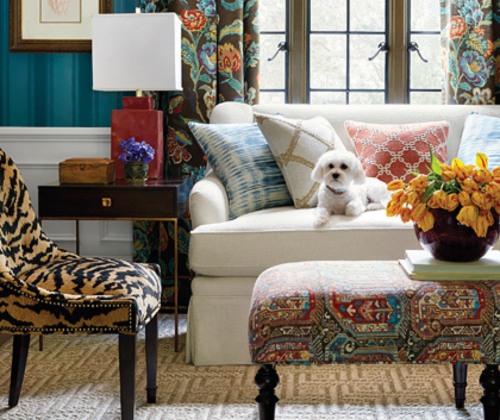 Dog sitting on white couch with colorful pillows and chairs in the room